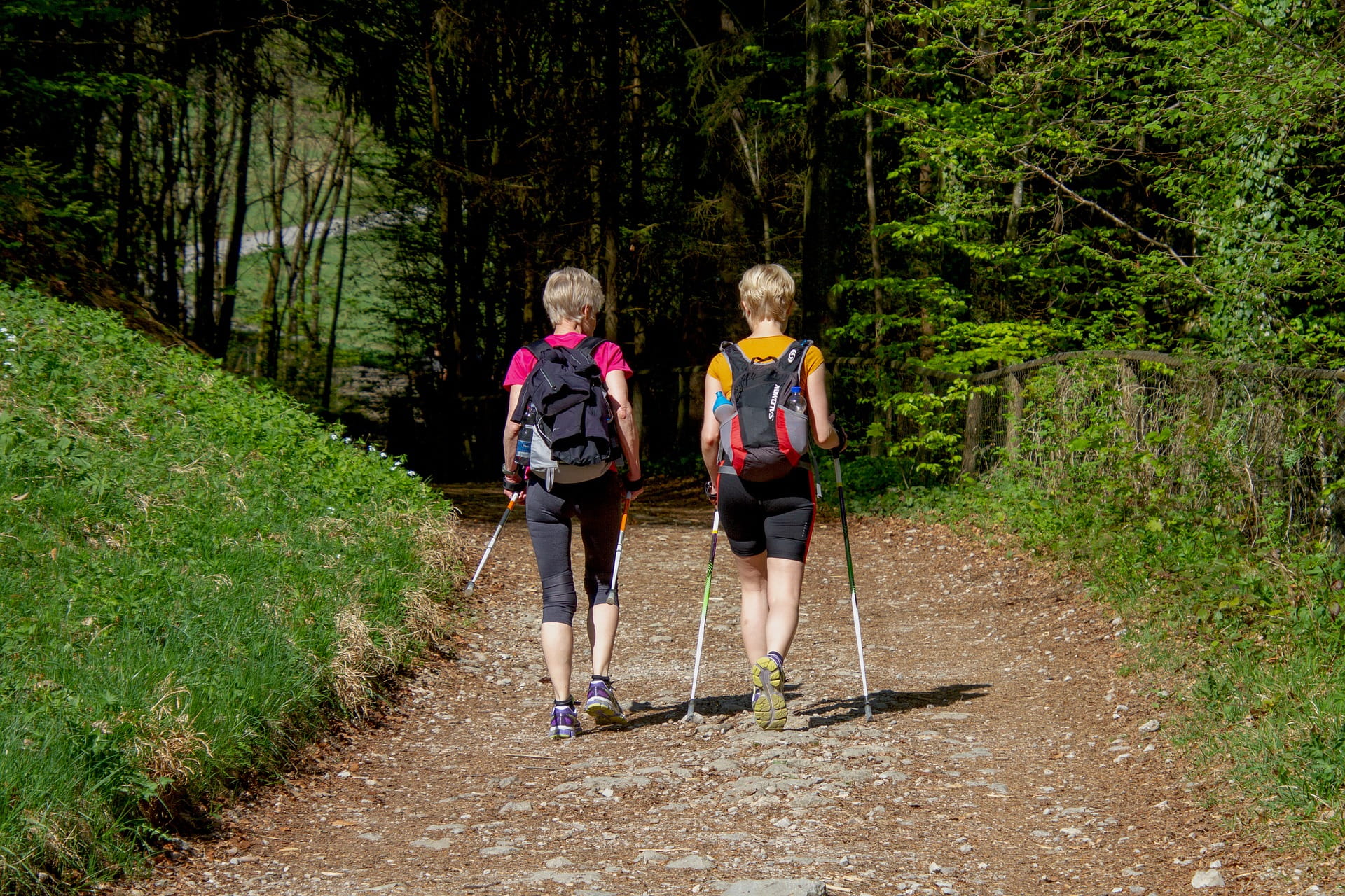 Zwei Frauen gehen im Wald walken.