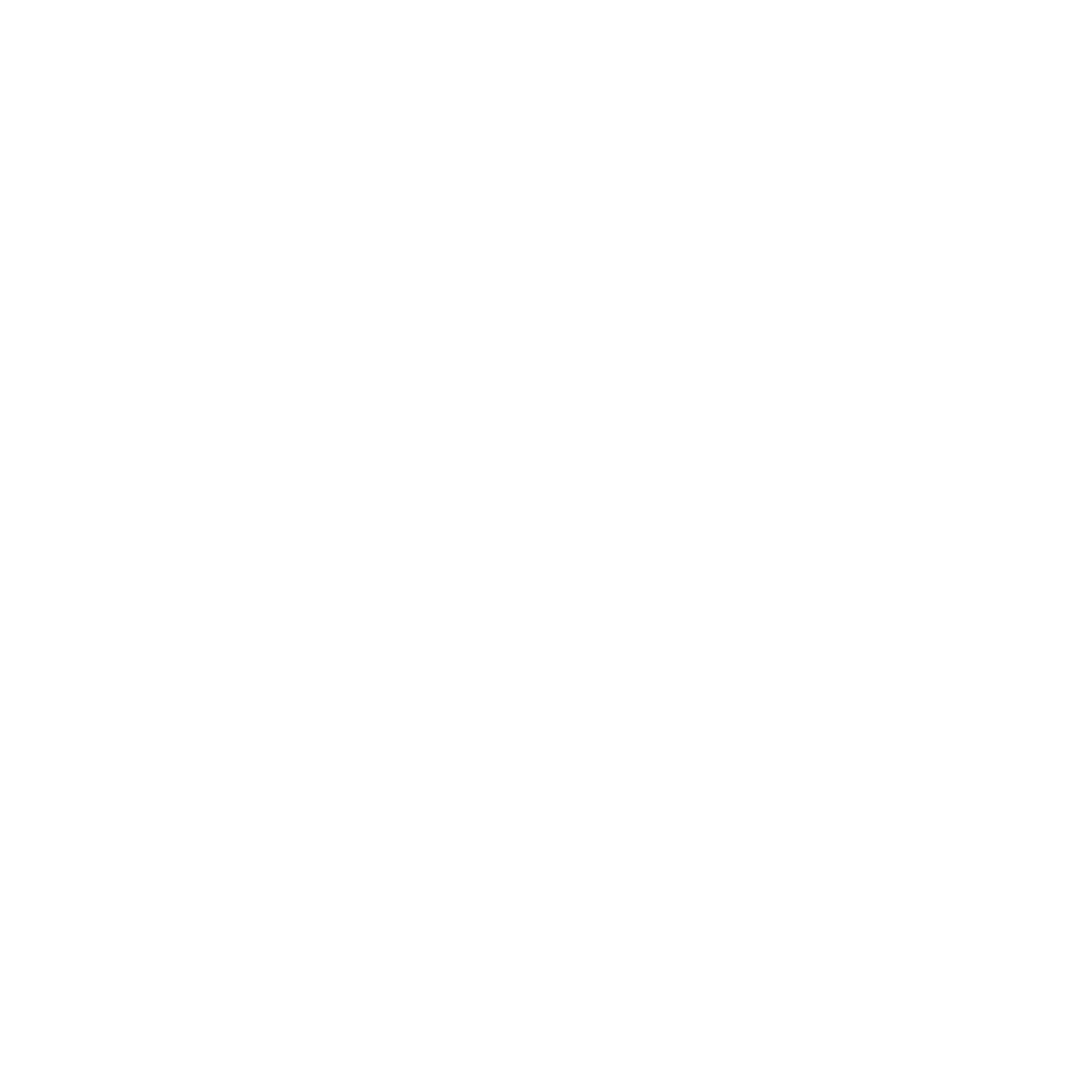 Icon Spezialisten