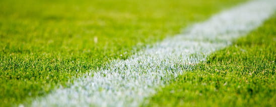 sportmanager-studie