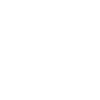 jahrhundertbrücke-brandenburg-icon