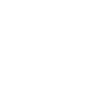 burgplatz-loewe-braunschweig-icon
