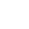 schloss-diepholz-icon