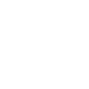 schweriner-schloss-Schwerin-icon
