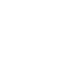 freiburger-münster-icon
