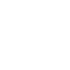 burg-steinsberg-icon