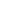 eishockey-villingen-icon