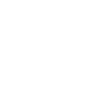 schaufler-foundation-icon