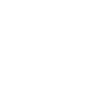 burg-landshut-icon