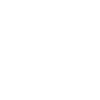 marktplatzbrunnen-cham-icon