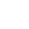 residenzschloss-braunschweig-icon