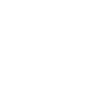 bremer-roland-icon
